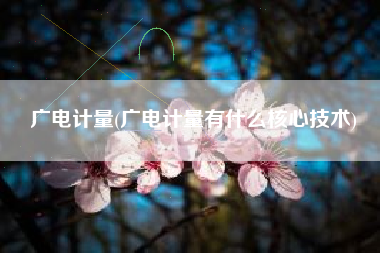 广电计量(广电计量有什么核心技术)
