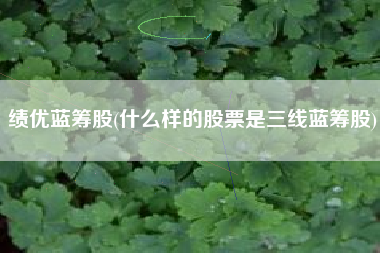 绩优蓝筹股(什么样的股票是三线蓝筹股)
