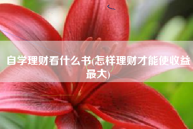 自学理财看什么书(怎样理财才能使收益最大)