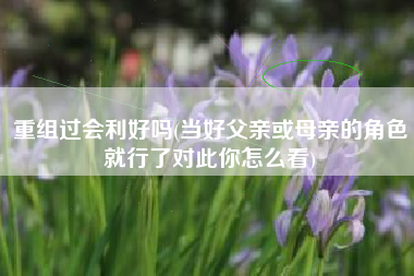重组过会利好吗(当好父亲或母亲的角色就行了对此你怎么看)