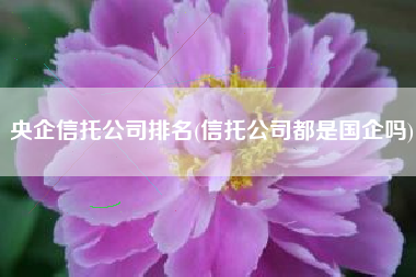 央企信托公司排名(信托公司都是国企吗)