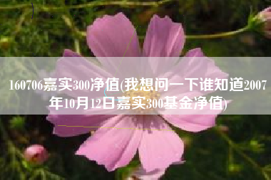 160706嘉实300净值(我想问一下谁知道2007年10月12日嘉实300基金净值)