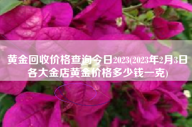 黄金回收价格查询今日2023(2023年2月3日各大金店黄金价格多少钱一克)