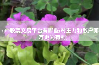 t+0股票交易平台有哪些(对主力和散户哪一方更为有利)