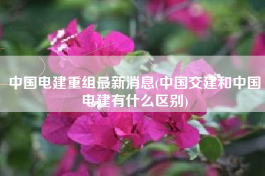 中国电建重组最新消息(中国交建和中国电建有什么区别)