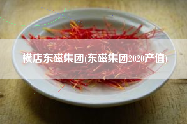 横店东磁集团(东磁集团2020产值)