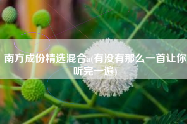 南方成份精选混合a(有没有那么一首让你听完一遍)