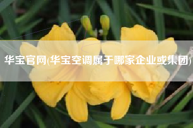 华宝官网(华宝空调属于哪家企业或集团)