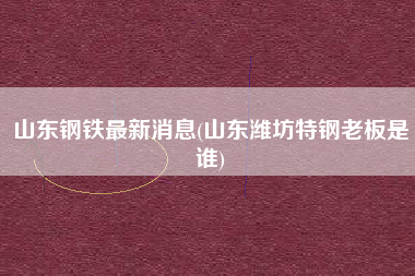 山东钢铁最新消息(山东潍坊特钢老板是谁)