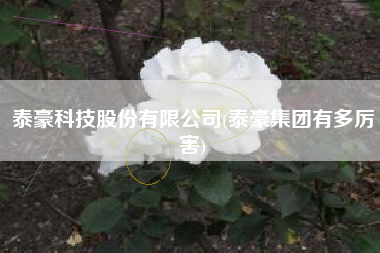 详细阅读:泰豪科技股份有限公司(泰豪集团有多厉害) 泰豪科技股份有限公司(泰豪集团有多厉害)