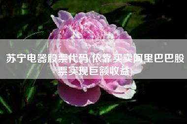 苏宁电器股票代码(依靠买卖阿里巴巴股票实现巨额收益)