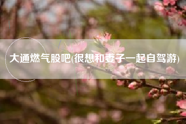 大通燃气股吧(很想和妻子一起自驾游)