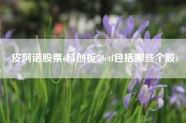 皮阿诺股票(科创板50etf包括哪些个股)