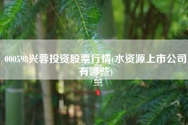 000598兴蓉投资股票行情(水资源上市公司有哪些)