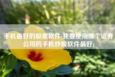 手机最好的股票软件(我要使用哪个证券公司的手机炒股软件最好)