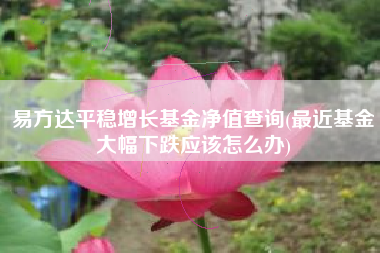 易方达平稳增长基金净值查询(最近基金大幅下跌应该怎么办)