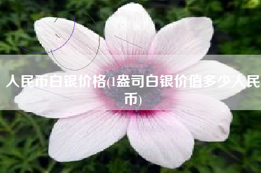 人民币白银价格(1盎司白银价值多少人民币)