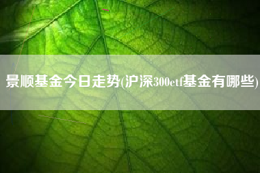 景顺基金今日走势(沪深300etf基金有哪些)