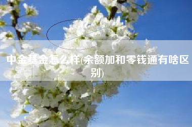 中金基金怎么样(余额加和零钱通有啥区别)