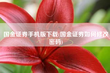 国金证券手机版下载(国金证券如何修改密码)