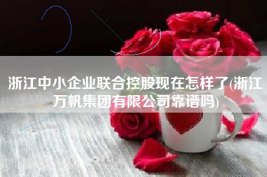浙江中小企业联合控股现在怎样了(浙江万帆集团有限公司靠谱吗)