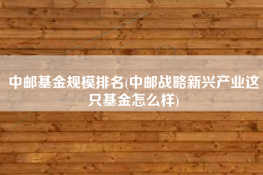 中邮基金规模排名(中邮战略新兴产业这只基金怎么样)