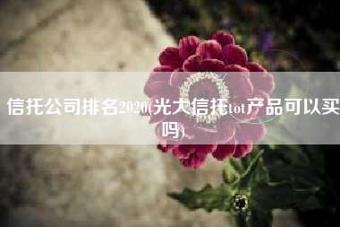 信托公司排名2020(光大信托tot产品可以买吗)