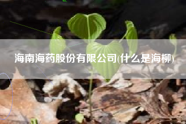 海南海药股份有限公司(什么是海柳)