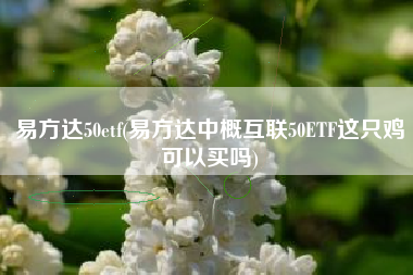 易方达50etf(易方达中概互联50ETF这只鸡可以买吗)