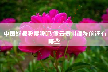中闽能源股票股吧(像云贵川简称的还有哪些)