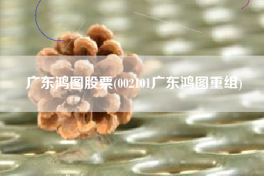 广东鸿图股票(002101广东鸿图重组)