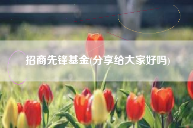 招商先锋基金(分享给大家好吗)