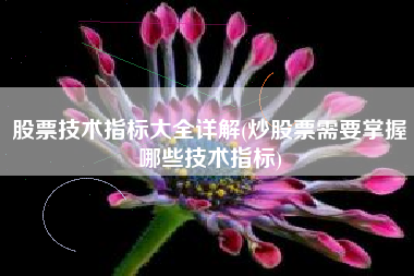股票技术指标大全详解(炒股票需要掌握哪些技术指标)