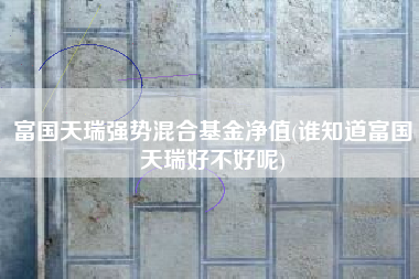 富国天瑞强势混合基金净值(谁知道富国天瑞好不好呢)