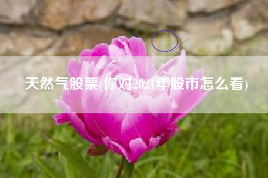 天然气股票(你对2021年股市怎么看)