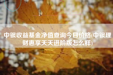 中银收益基金净值查询今日价格(中银理财惠享天天进阶版怎么样)