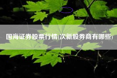 国海证券股票行情(次新股券商有哪些)