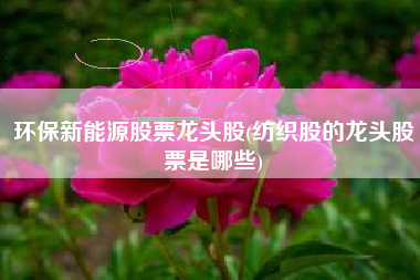 环保新能源股票龙头股(纺织股的龙头股票是哪些)