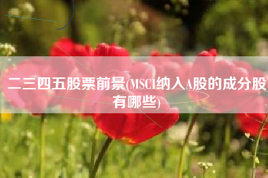 二三四五股票前景(MSCI纳入A股的成分股有哪些)