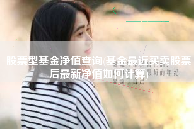 股票型基金净值查询(基金最近买卖股票后最新净值如何计算)