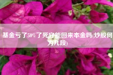 基金亏了50%了死守能回来本金吗(炒股何为九段)