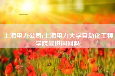 上海电力公司(上海电力大学自动化工程学院能进国网吗)