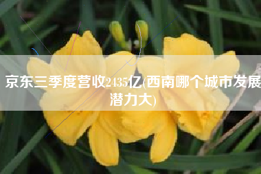 京东三季度营收2435亿(西南哪个城市发展潜力大)
