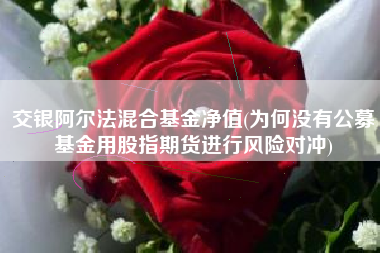 交银阿尔法混合基金净值(为何没有公募基金用股指期货进行风险对冲)