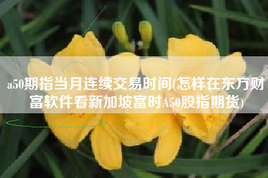 a50期指当月连续交易时间(怎样在东方财富软件看新加坡富时A50股指期货)