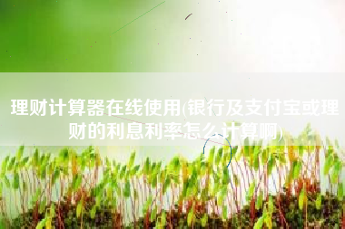 理财计算器在线使用(银行及支付宝或理财的利息利率怎么计算啊)