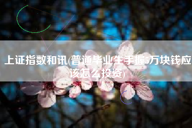 上证指数和讯(普通毕业生手握5万块钱应该怎么投资)