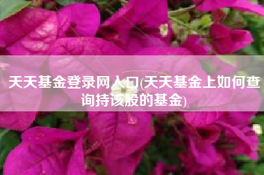 天天基金登录网入口(天天基金上如何查询持该股的基金)