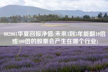 002001华夏回报净值(未来3到5年能翻10倍或100倍的股票会产生在哪个行业)