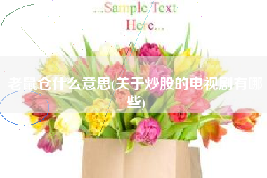 老鼠仓什么意思(关于炒股的电视剧有哪些)
